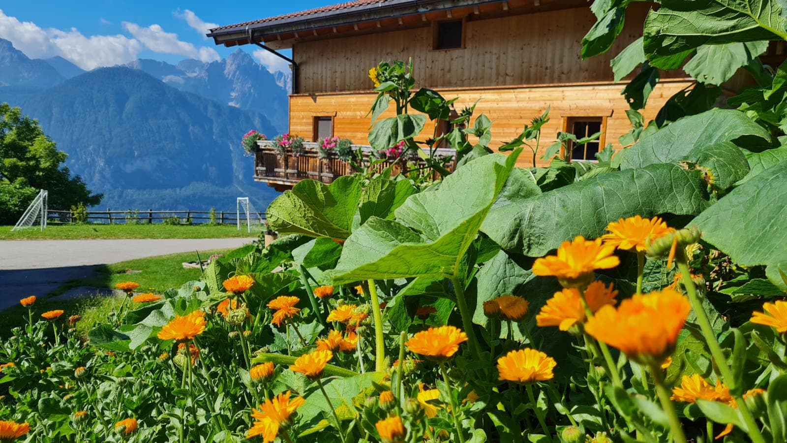 BIO-BAUERNHOF GERLHOF - Bild 1