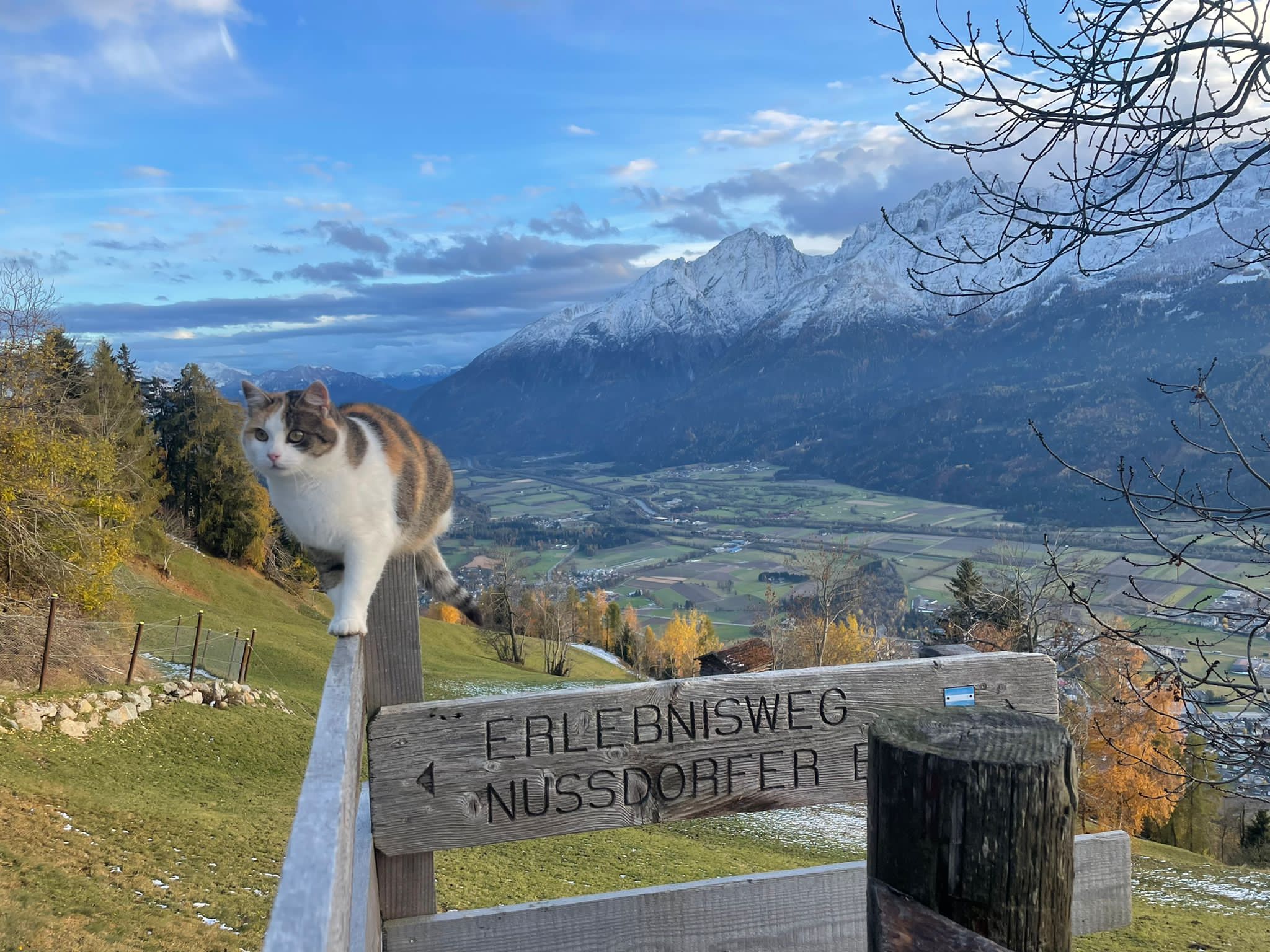 BIO-BAUERNHOF GERLHOF - Bild 5