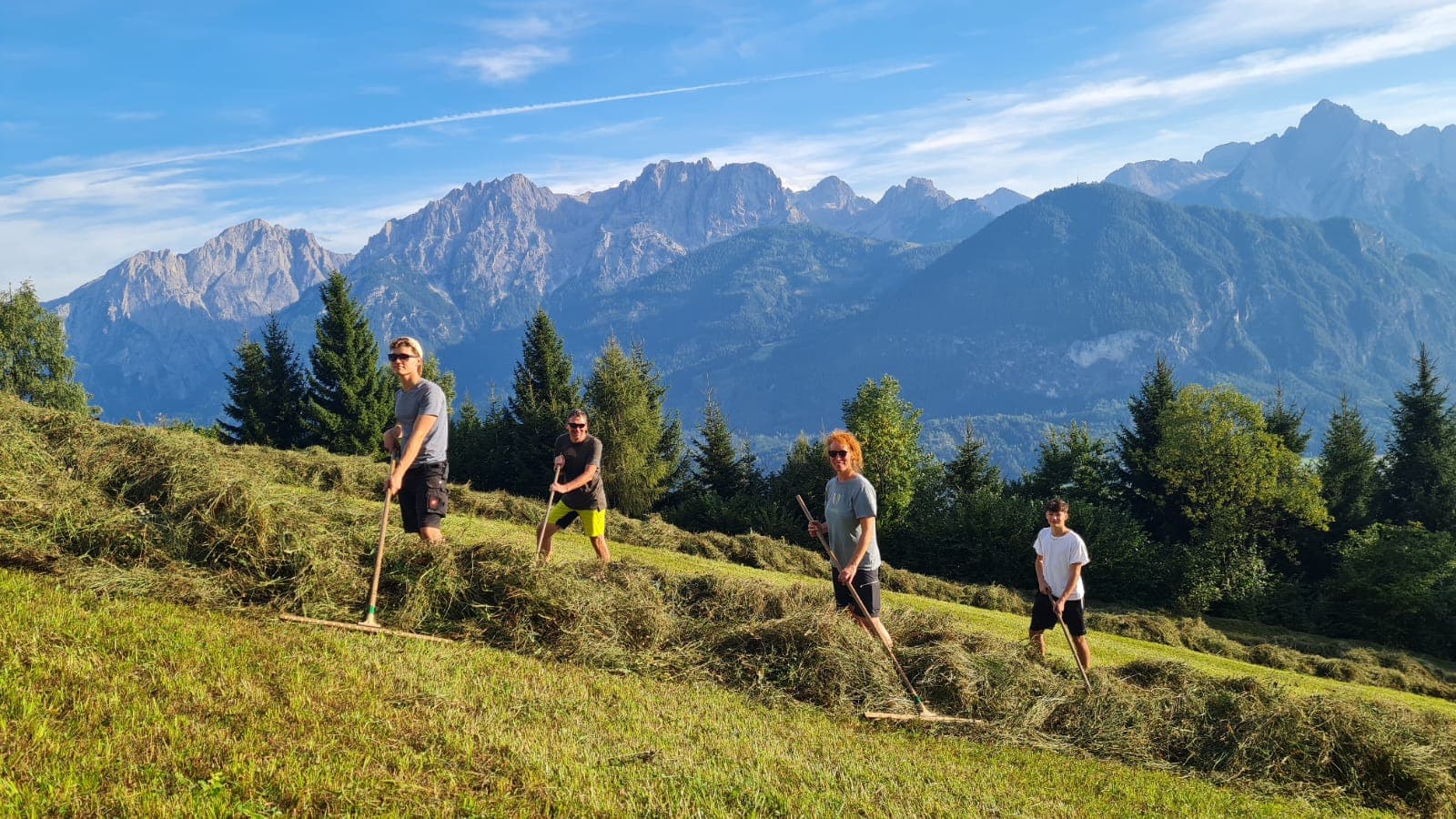 BIO-BAUERNHOF GERLHOF - Bild 6