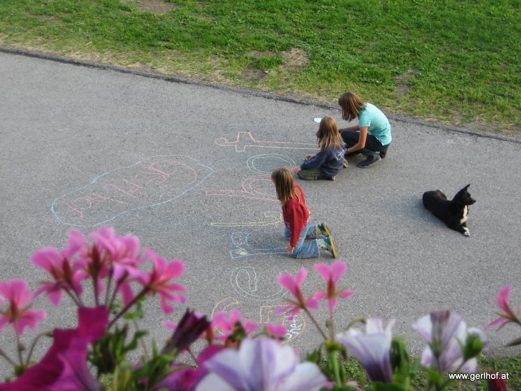 BIO-BAUERNHOF GERLHOF - Bild 7